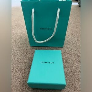 Authentic Tiffany Gift Packaging